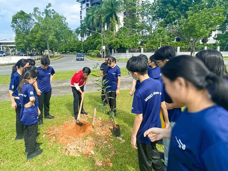 rotary-interact-club-planting-trees-cover.webp